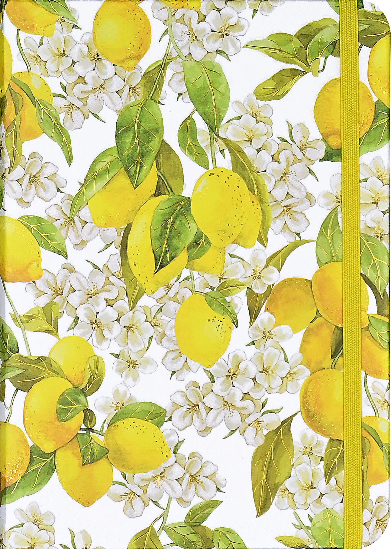 Amalfi Lemons Journal