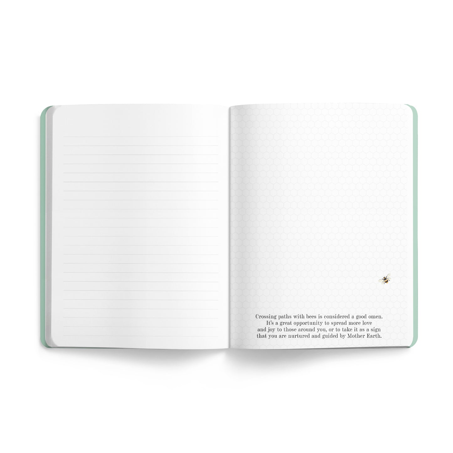 Journal - Bee