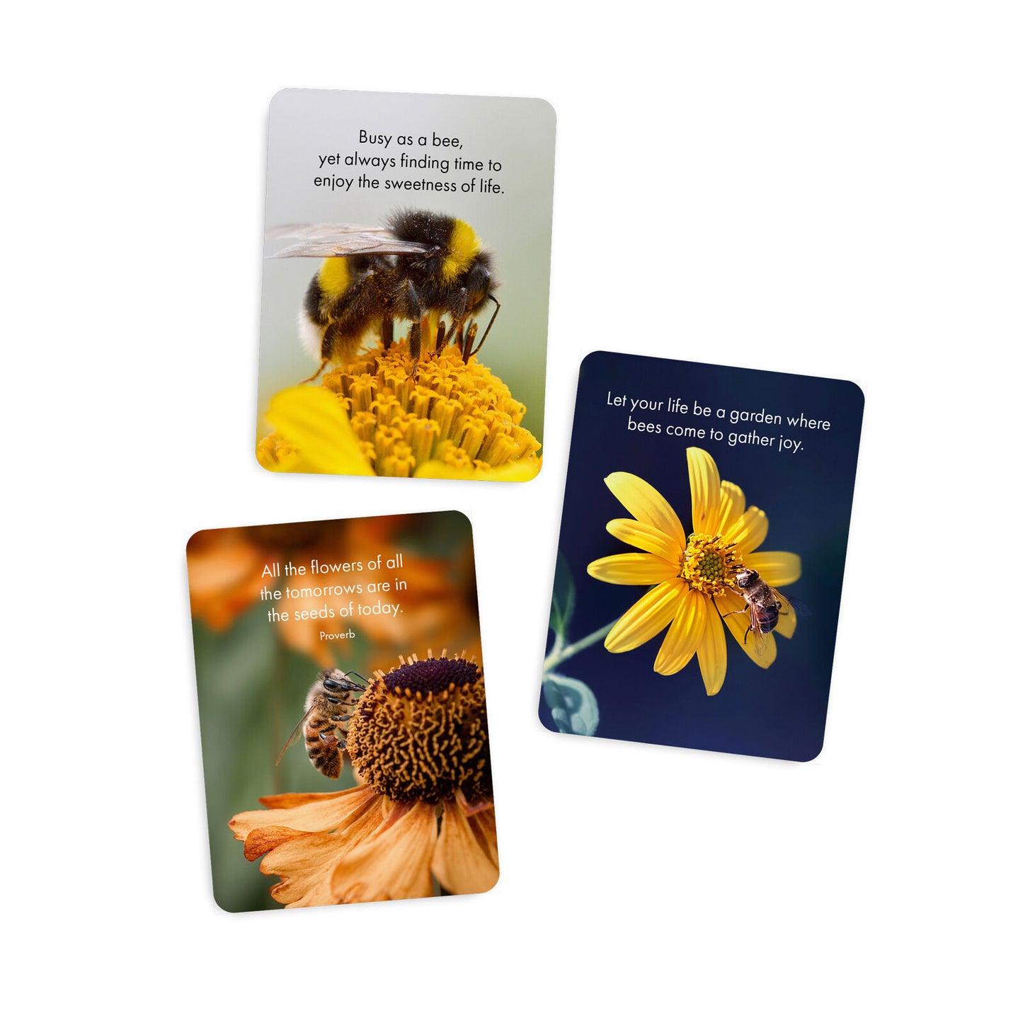 24 Animal Affirmation Cards - Believe in Yourself