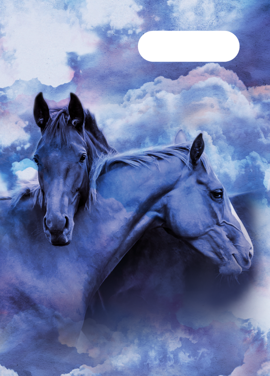 A4 Book Cover - Sky Dancer 4
