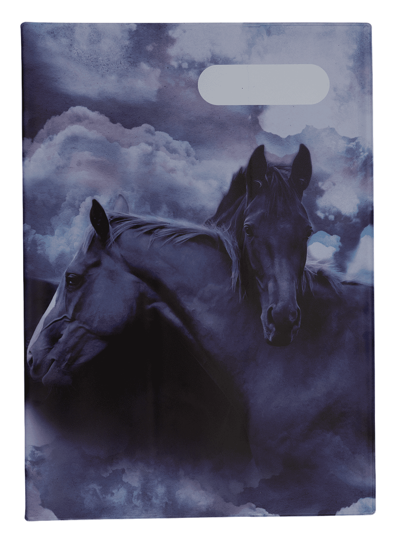 A4 Book Cover - Sky Dancer 2