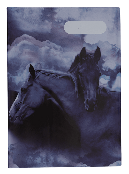 A4 Book Cover - Sky Dancer 2