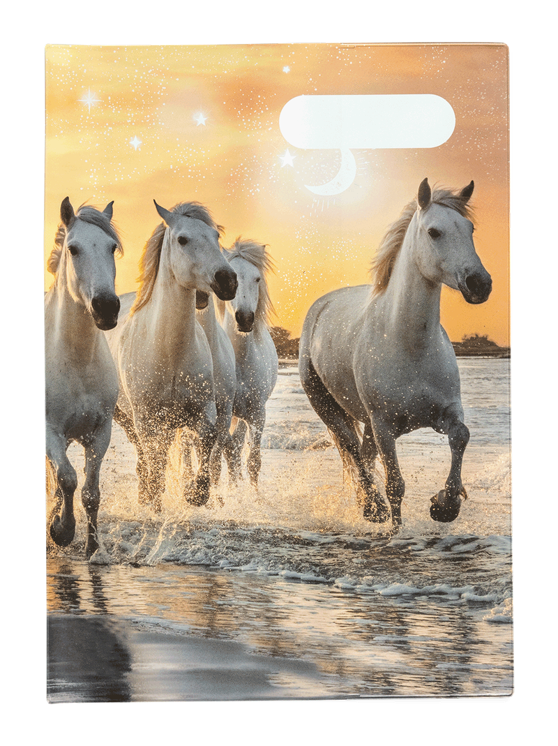 A4 Book Cover - Cosmic Canter 1