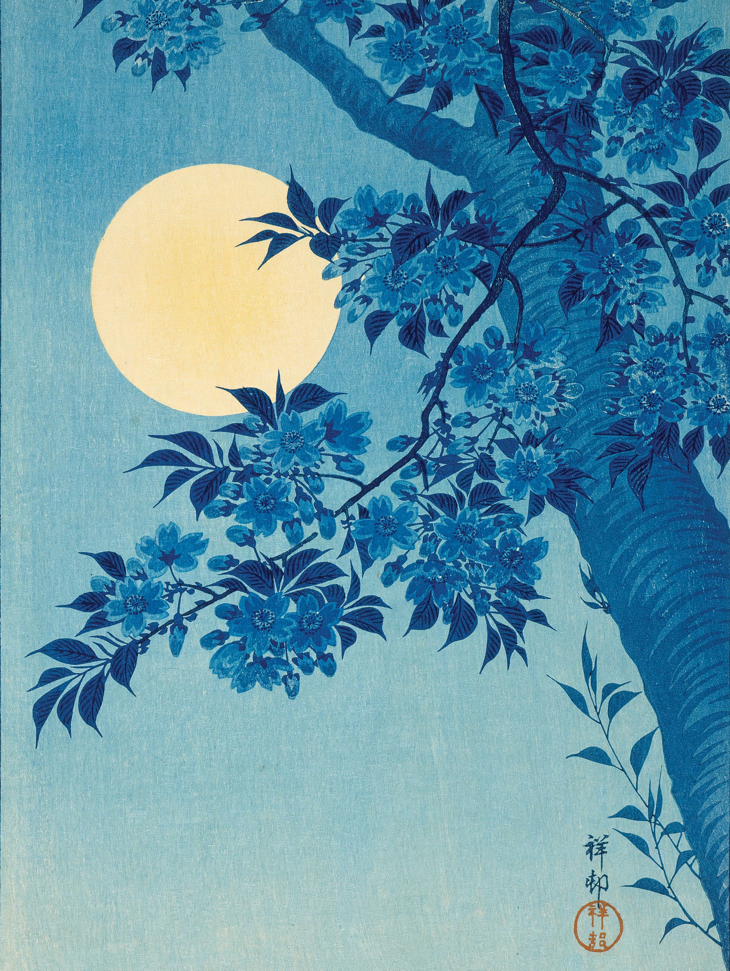 Blossoming Cherry on a Moonlit Night Journal