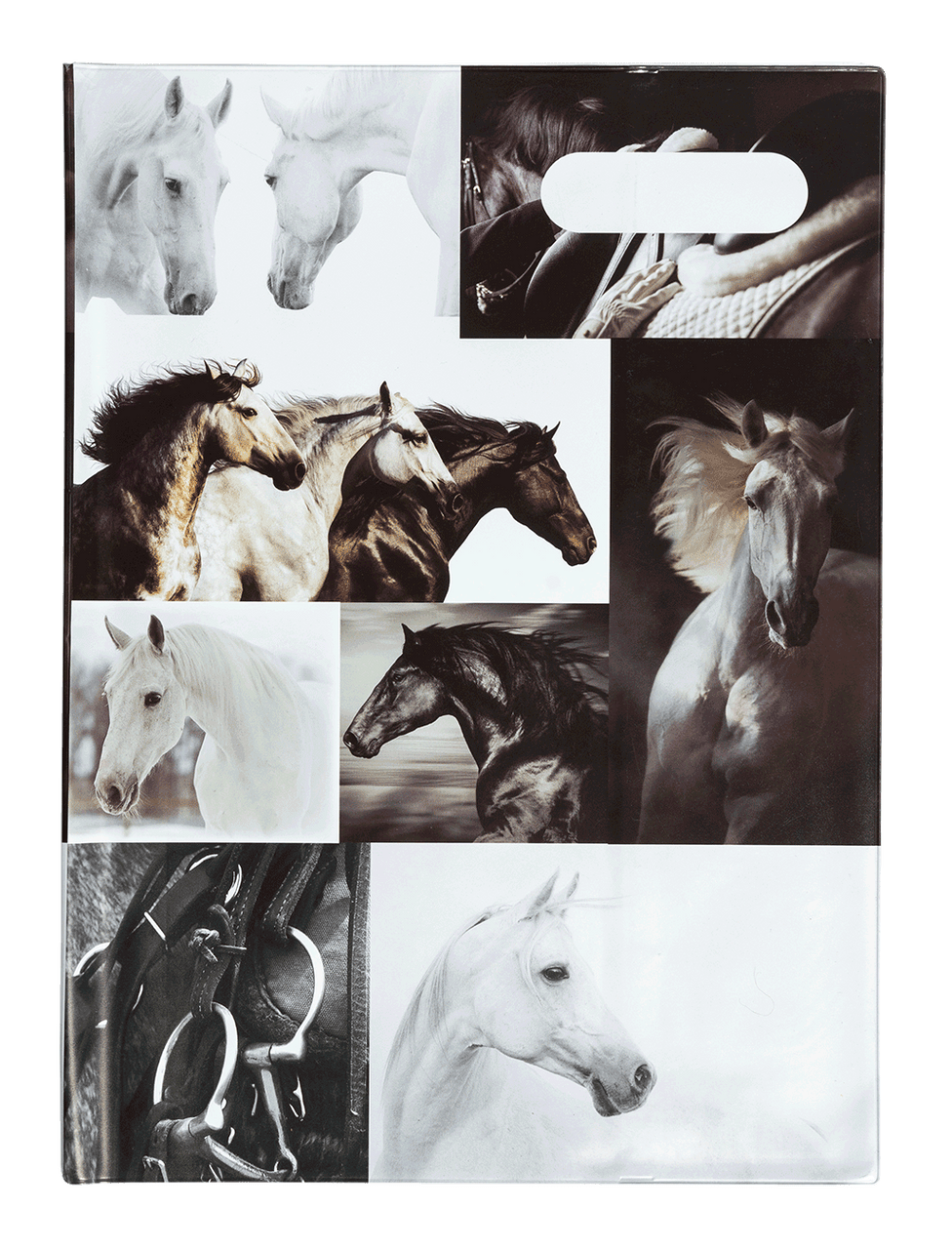 Scrapbook Cover - B&W Horses IV