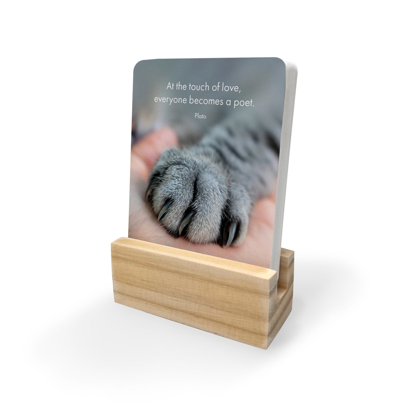 24 Animal Affirmation Cards - The Great Catsby