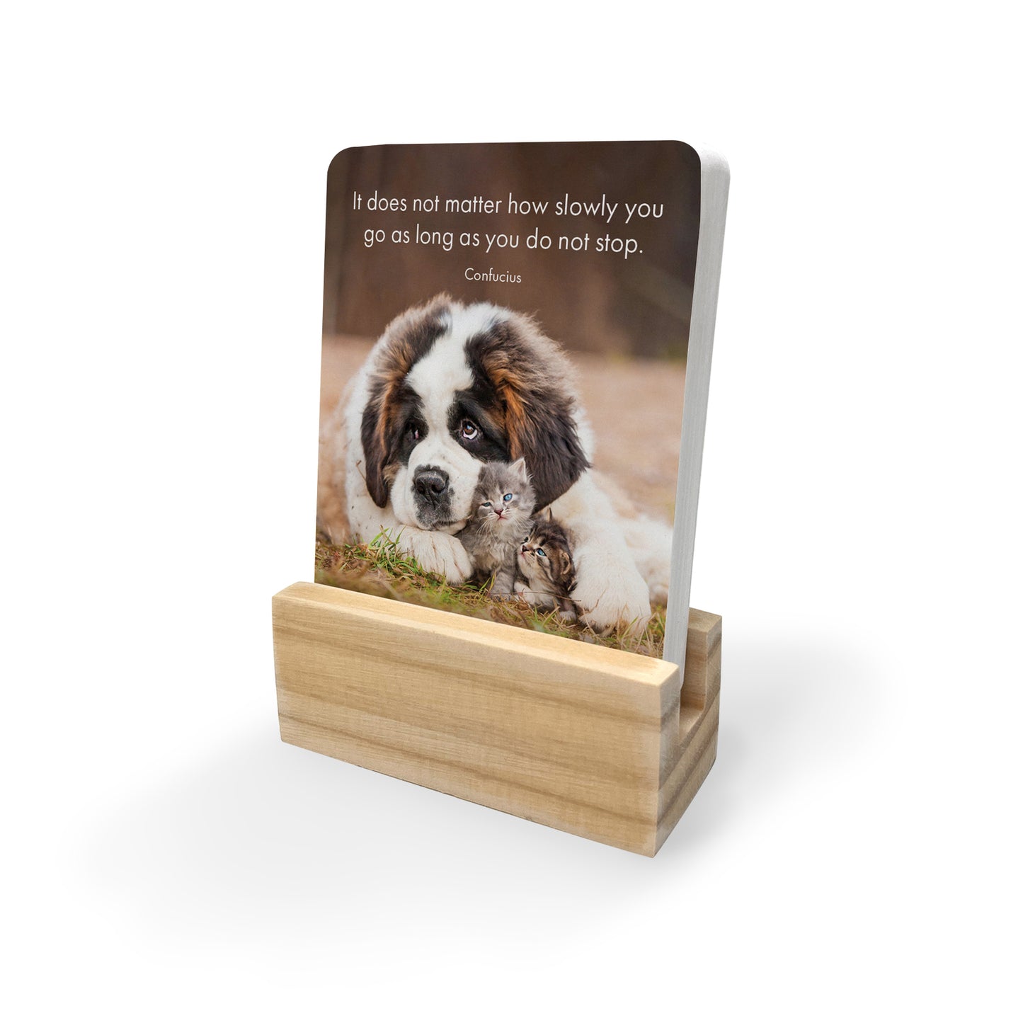 24 Animal Affirmation Cards - Little Paws