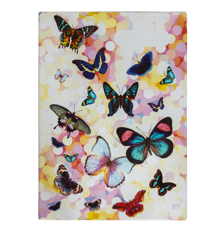 A4 Book Cover - Butterflies